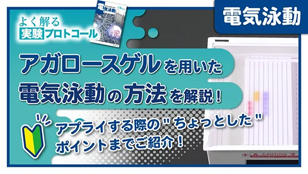 使用動画サムネイル